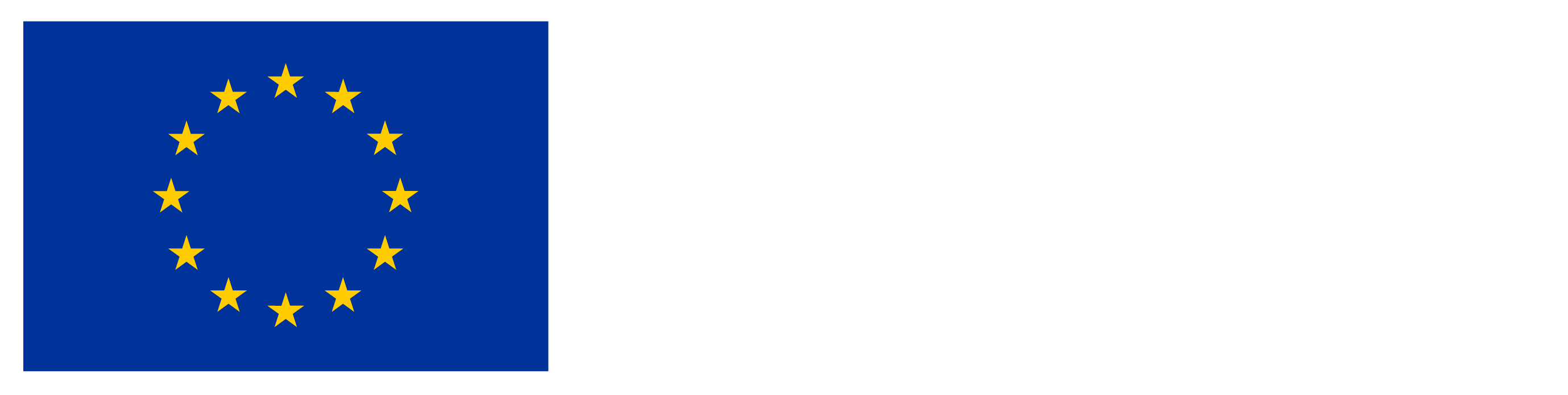 Logo European Union
